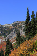 Heather Pass