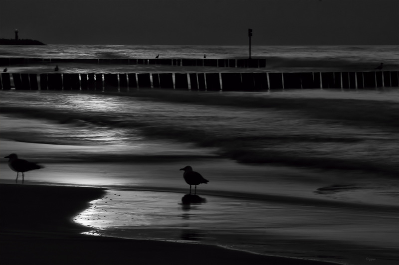 Last Light