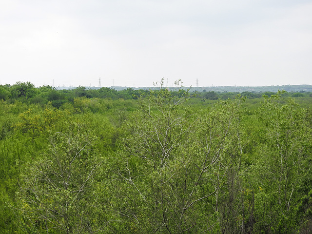 Day 7, looking from Bensten-Rio Grande State Park over to Mexico