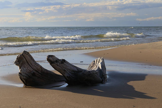 Big Sable Point