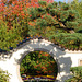 Mondtor im Chinesischen Garten