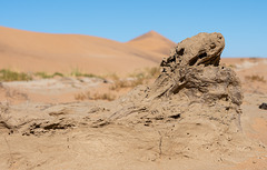 Deadvlei