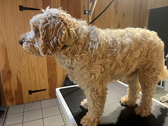 579973904 122114322801021481 6704923094826674455 n