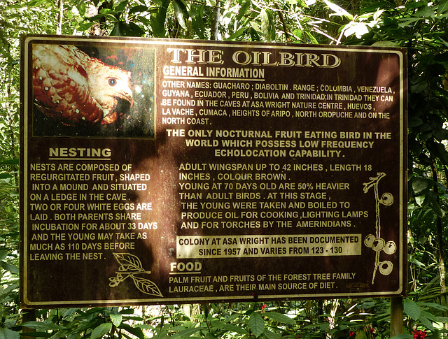 Trail sign for the Oilbirds, Asa Wright