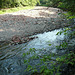 River Caldew At Dalston