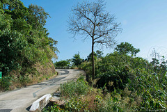 Fahrt von Kinpun zum Mount Kyaiktiyo (© Buelipix)