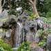 Tokyo, Small Waterfall in the Garden of the Imperial Palace