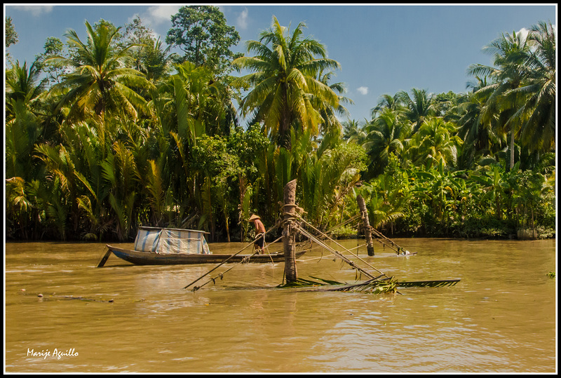 Delta del Mekong