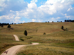Custer State Park, Sout Dakota (2 PiP)