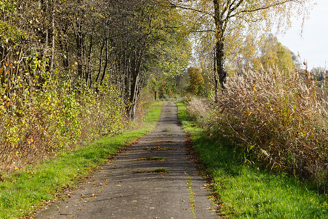 Weg zum Krücker