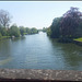 The Thames at Wallingford