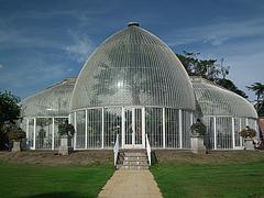 Palm House