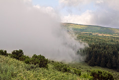 Pico Ruivo do Paúl da Serra - Auf dem Pfad zum Gipfel (5)