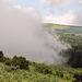 Pico Ruivo do Paúl da Serra - Auf dem Pfad zum Gipfel (5)