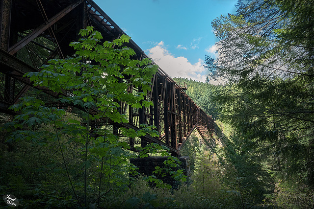 Unexpected Surprises! The Goldstream Provincial Park Train Trestle...And HFF too!!