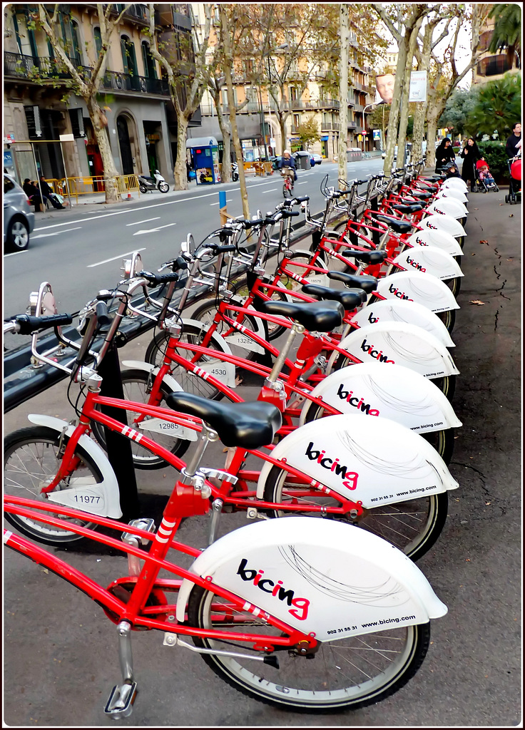 Barcellona : The bicycle rental in Plaça de Catalunya