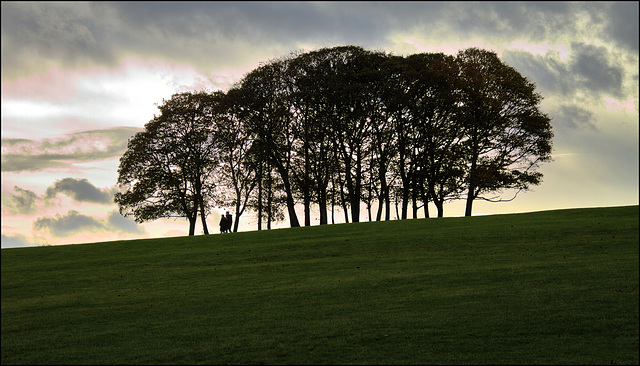 A walk in the park