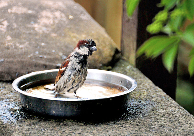 Pass the towel, please.....