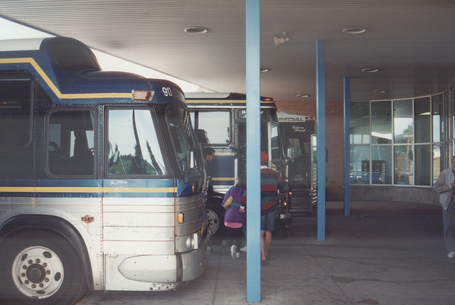 Acadian Lines coaches at Antigonish - 7 Sep 1992 (174-02)