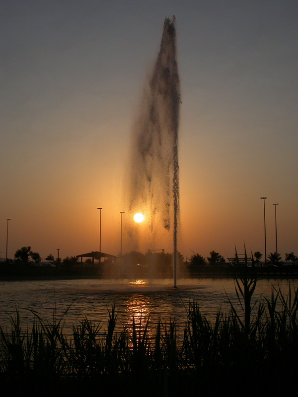 DSCN9807