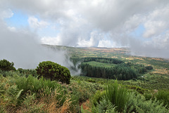 Pico Ruivo do Paúl da Serra - Auf dem Pfad zum Gipfel (6)