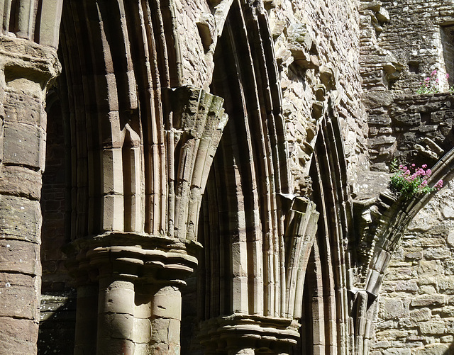 Tintern Abbey- Arches in the Nave