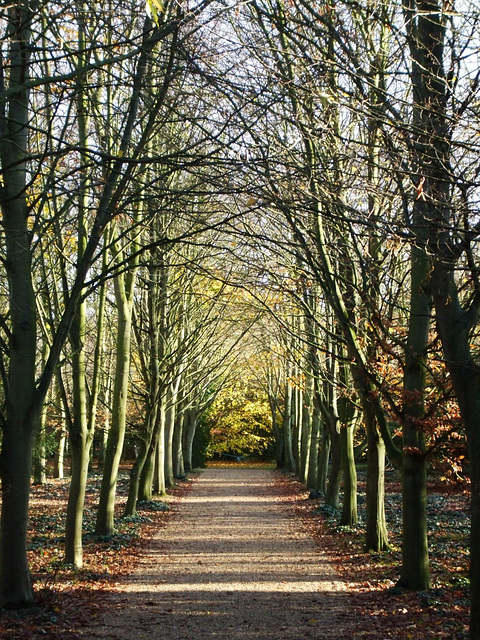 Anglesey Abbey 2011-11-25 014