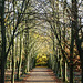 Anglesey Abbey 2011-11-25 014