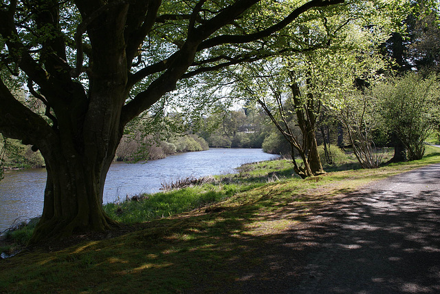 River Dee