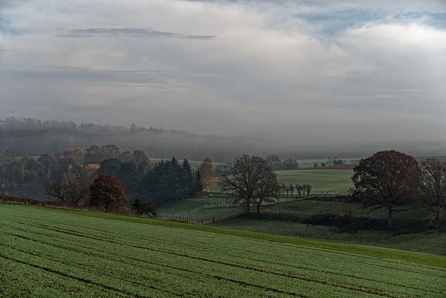 19.11.24 Burgwald 1