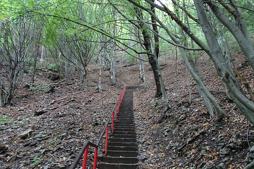 Ascending 1480 Stairs