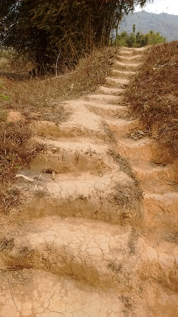 Escaliers insolites au Laos