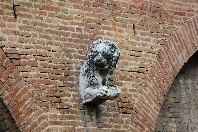 Italy, Siena, Second (from the left) Lion on the Facade of the Fountain of Fontebranda