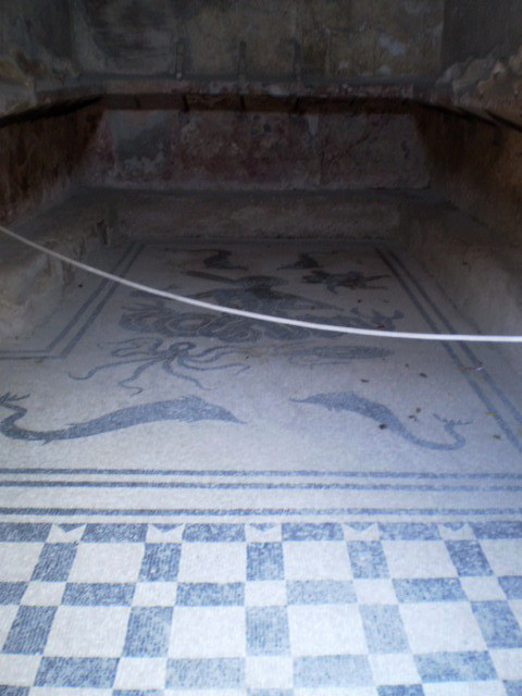 Mosaic pavement.