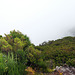 Pico Ruivo do Paúl da Serra - Ausblick vom Gipfel (1)