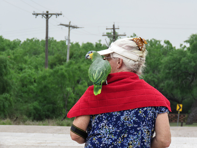 Day 7, lady with pet parrot