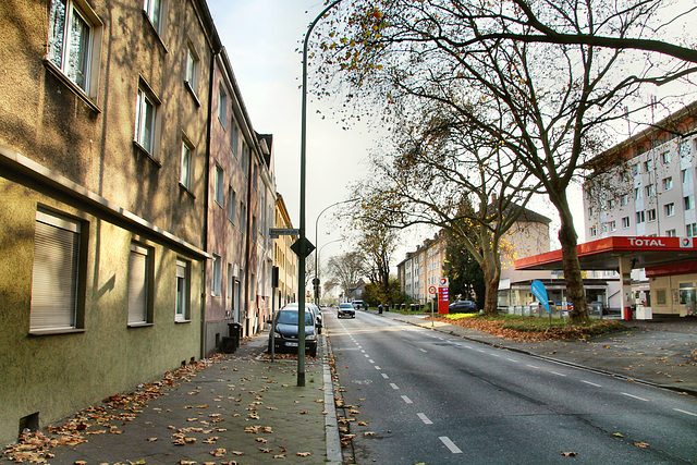 B227 Hohenzollernstraße (Gelsenkirchen-Bulmke-Hüllen) / 14.11.2020