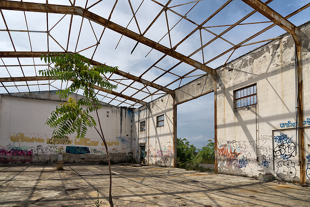 Abandoned Trieste - open space