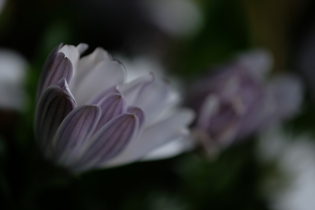 DSCF0764