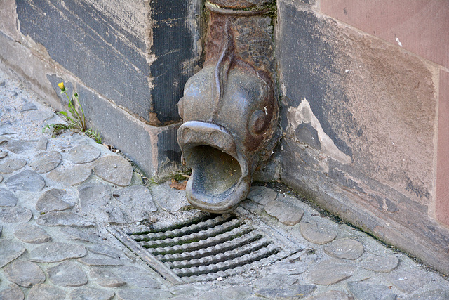 Strasbourg 2025 – Fish drain
