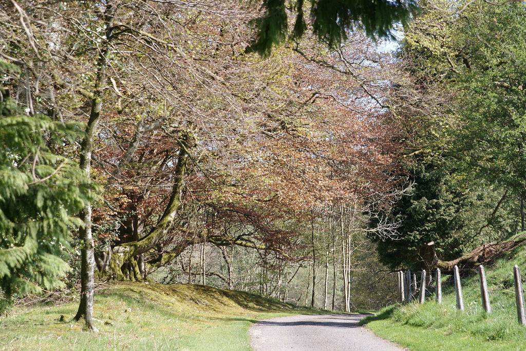 Springtime In Galloway