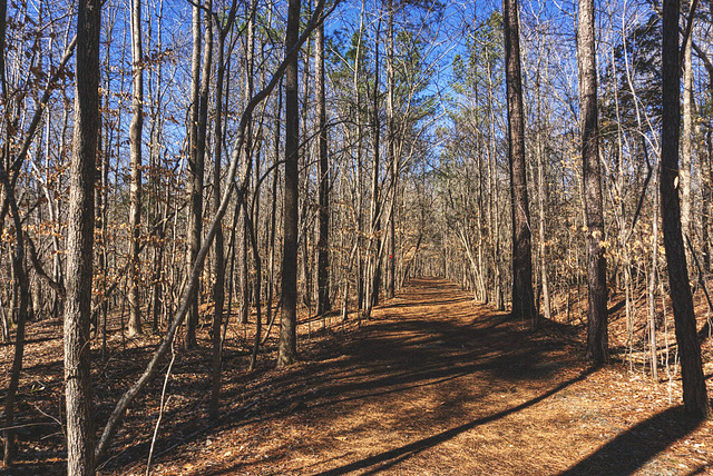 Cabelands Trailhead