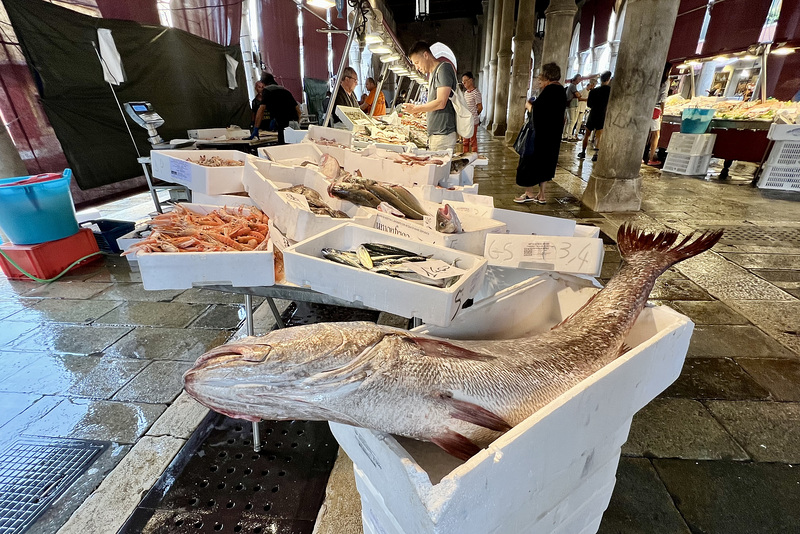 Venice 2022 – Campo della Pescheria