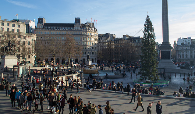 London Westminster Trafalgar Square (#0082)