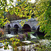 River Stour ~ Blandford Forum