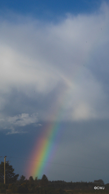 Rainbow before the storm...