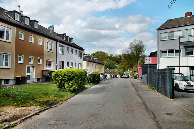 Stenbocke (Dortmund-Lütgendortmund) / 27.04.2024