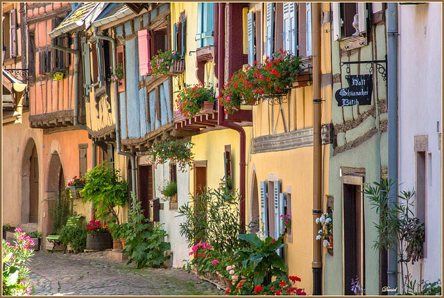 Couleurs d'Alsace