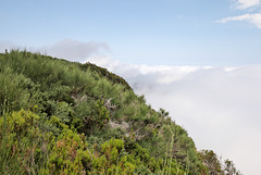 Pico Ruivo do Paúl da Serra - Ausblick vom Gipfel (3)