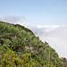 Pico Ruivo do Paúl da Serra - Ausblick vom Gipfel (3)